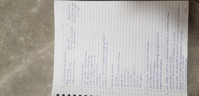 IGCSE 0610 Biology P4 and P6 Notes – prepIGCSE